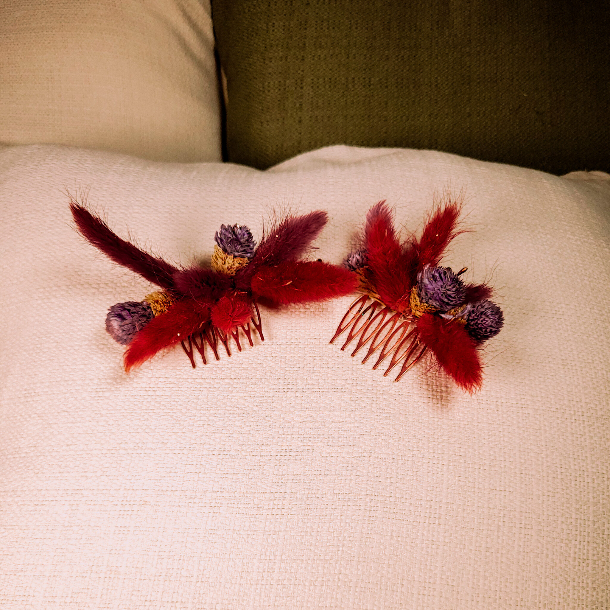 PhotoBrochuresRouges